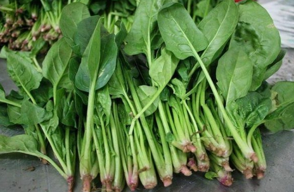 深圳送菜公司 春季吃什么蔬菜好？以下3種蔬菜不要錯(cuò)過(guò)